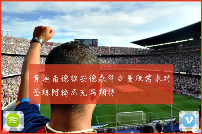 费迪南德称安德森符合曼联需求对签琼阿梅尼充满期待