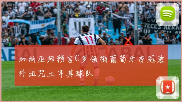 加纳巫师预言C罗领衔葡萄牙夺冠意外诅咒土耳其球队