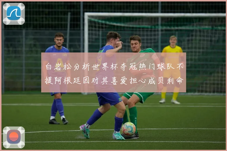 白岩松分析世界杯夺冠热门球队不提阿根廷因对其喜爱担心成贝利命运